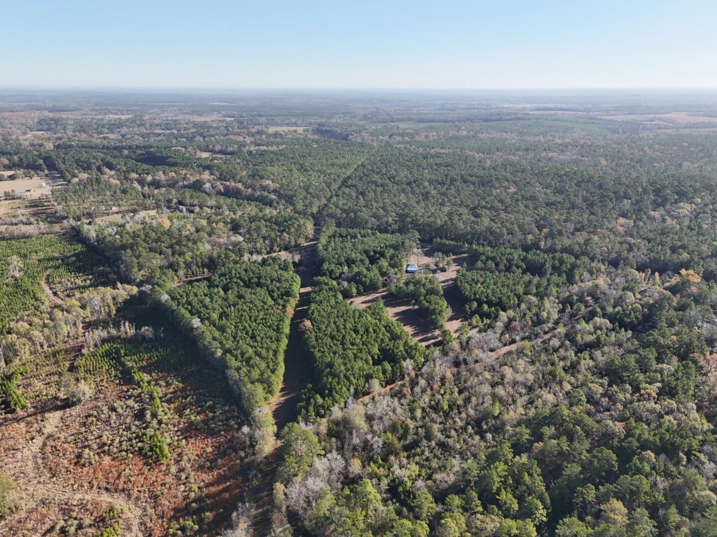 Lot 2 E Fm 942 Corrigan TX 75934