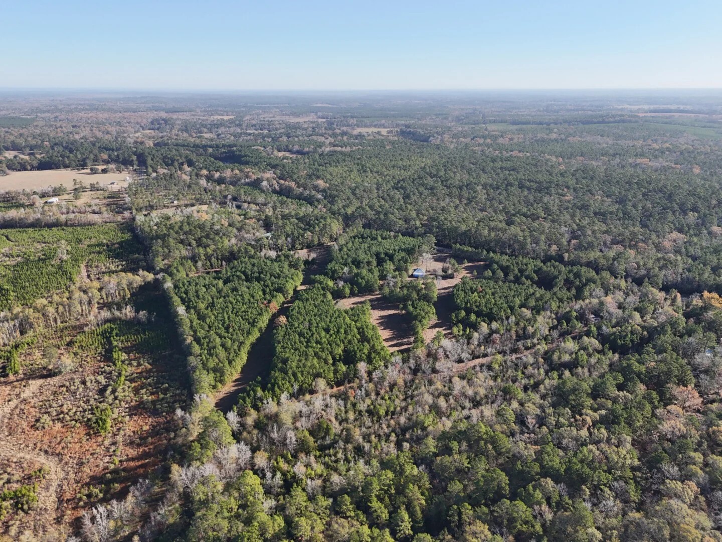 Lot 2 E Fm 942 Corrigan TX 75934
