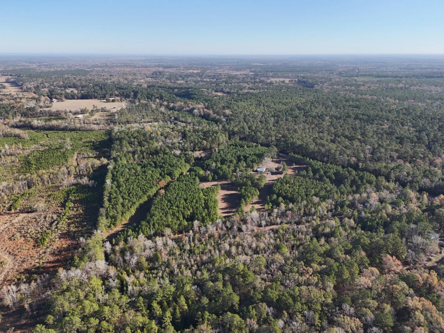 Lot 2 E Fm 942 Corrigan TX 75934