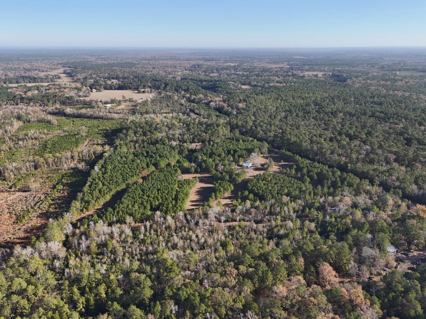 Lot 2 E Fm 942 Corrigan TX 75934