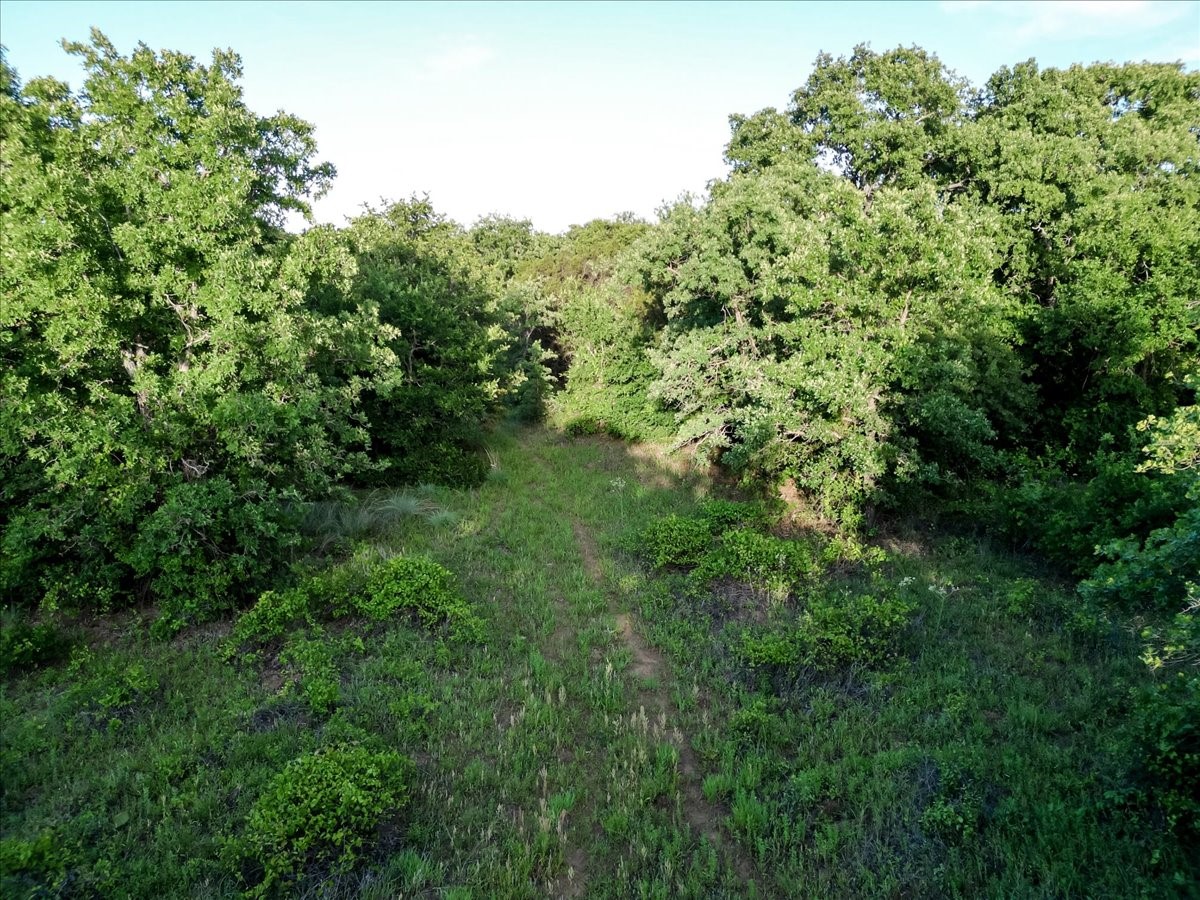 Tbd Rambling Road Graford TX 76486