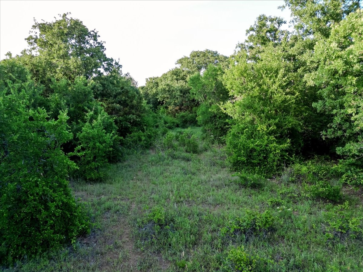 Tbd Rambling Road Graford TX 76486