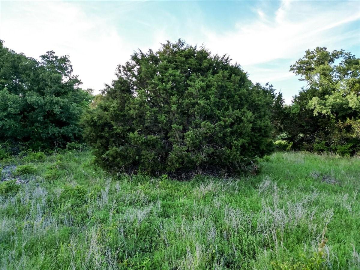 Tbd Rambling Road Graford TX 76486