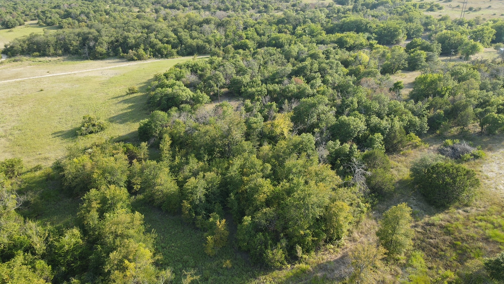 109 Grant Alan Court Weatherford TX 76085