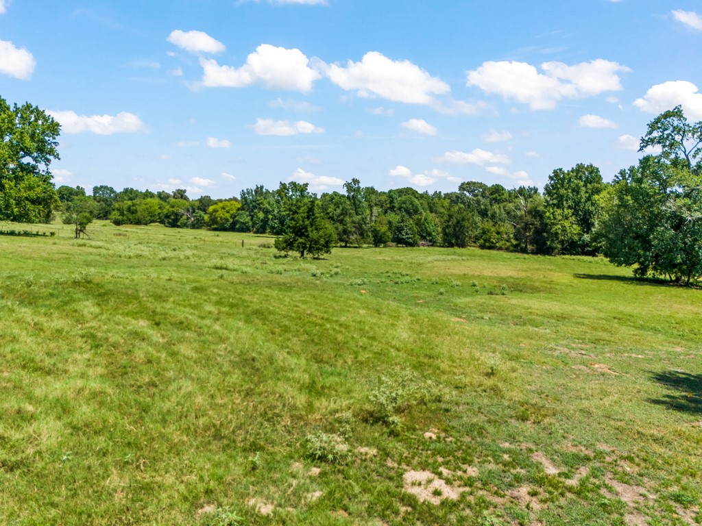 7981 Arrowwood Road Gilmer TX 75644