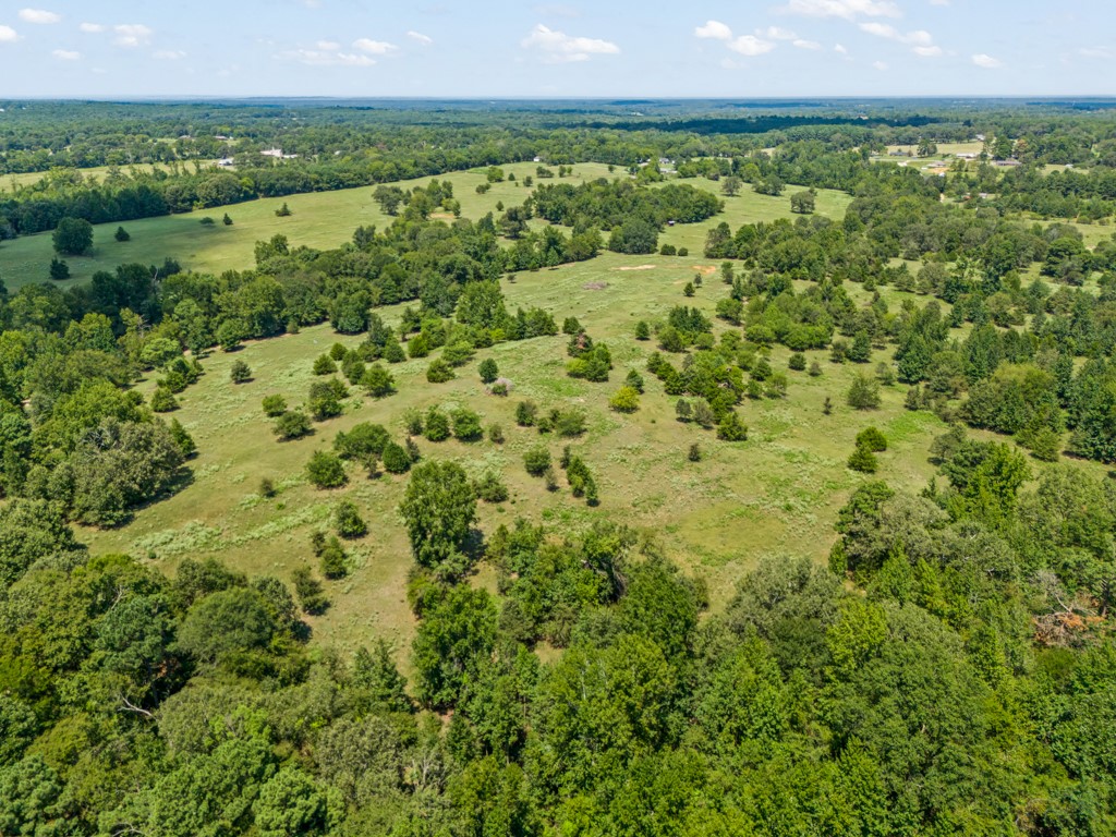 7981 Arrowwood Road Gilmer TX 75644