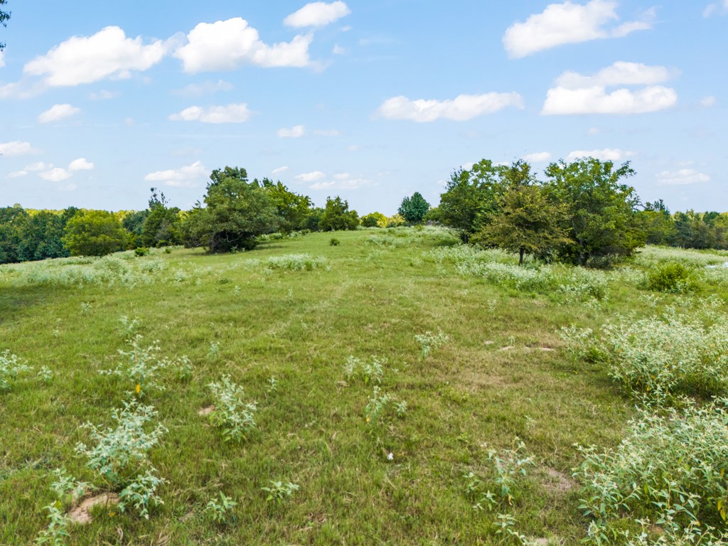 7981 Arrowwood Road Gilmer TX 75644