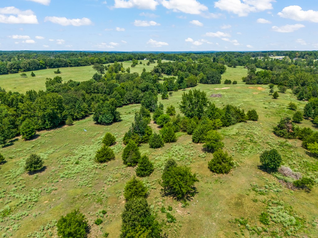 7981 Arrowwood Road Gilmer TX 75644