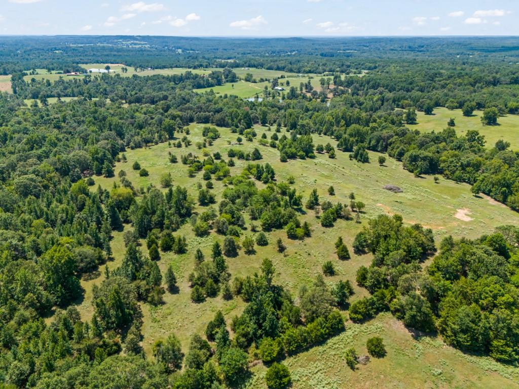 7981 Arrowwood Road Gilmer TX 75644