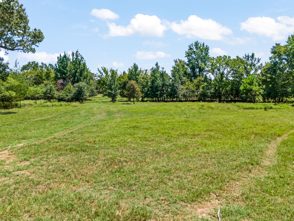 7981 Arrowwood Road Gilmer TX 75644