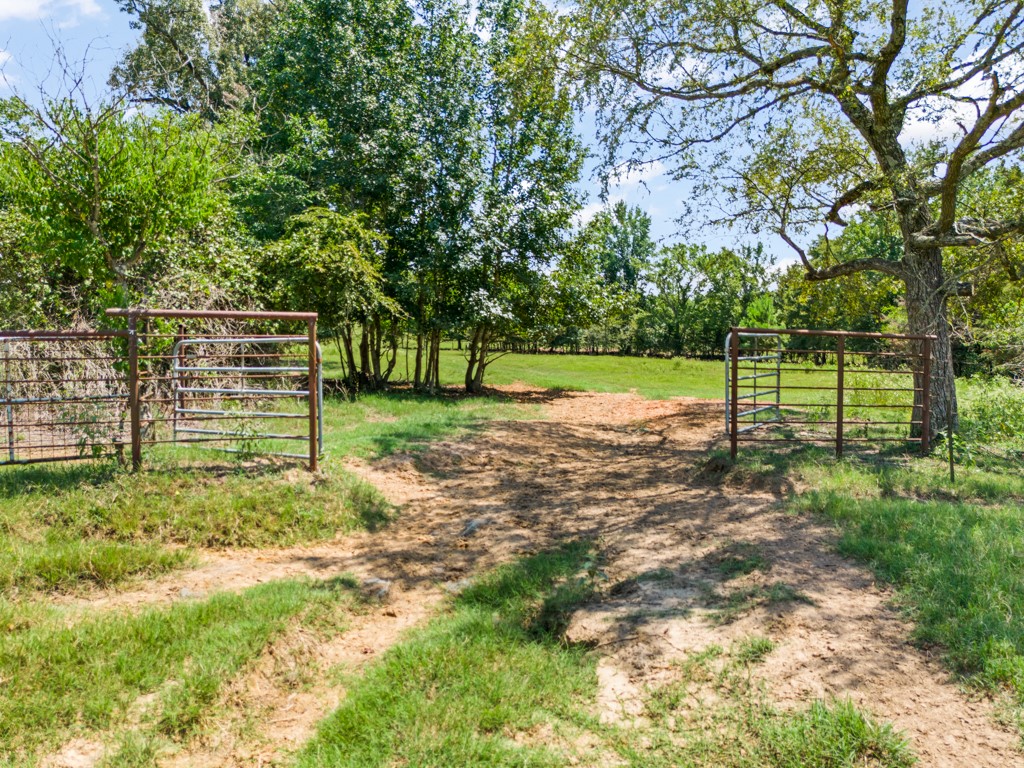 7981 Arrowwood Road Gilmer TX 75644