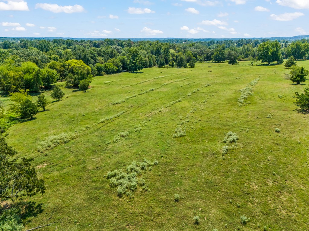 7981 Arrowwood Road Gilmer TX 75644