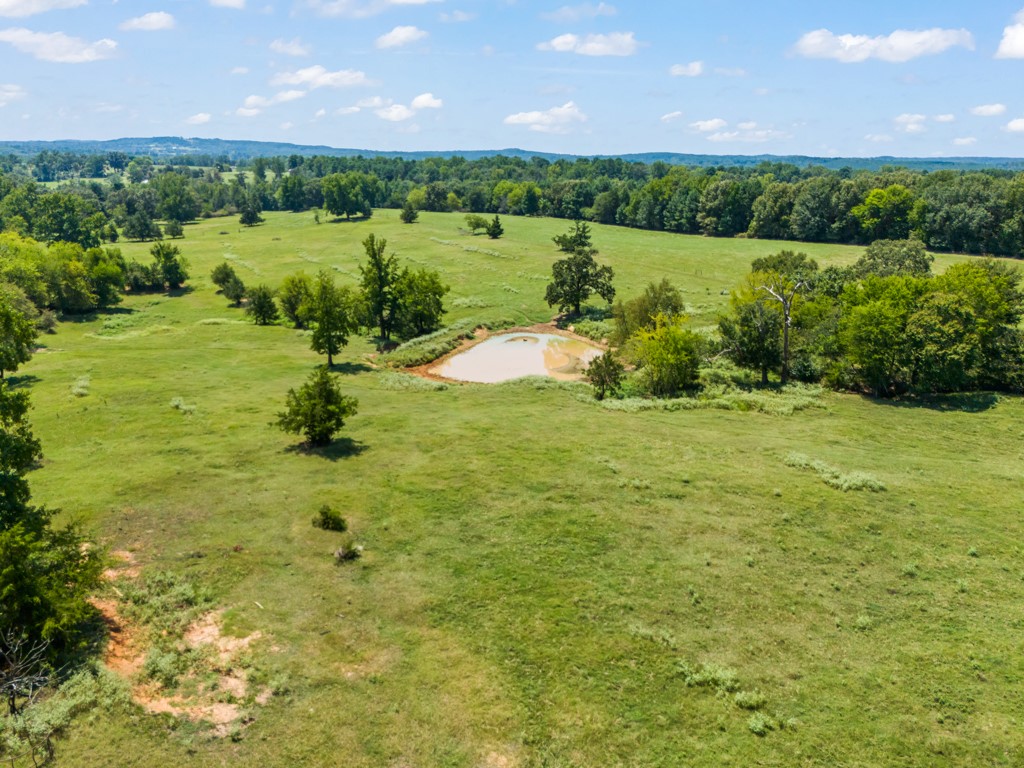 7981 Arrowwood Road Gilmer TX 75644