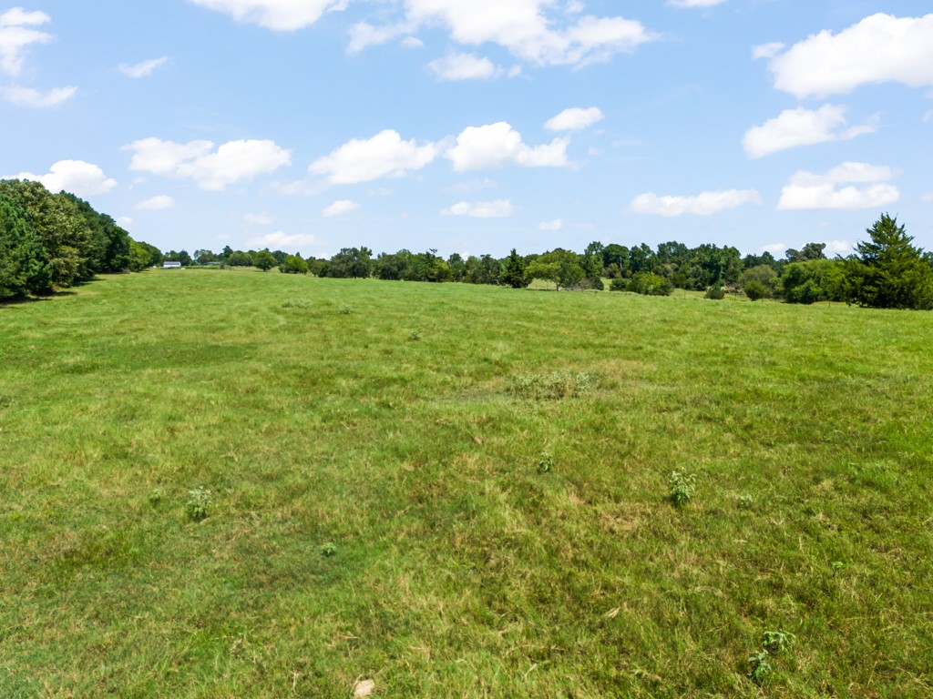 7981 Arrowwood Road Gilmer TX 75644