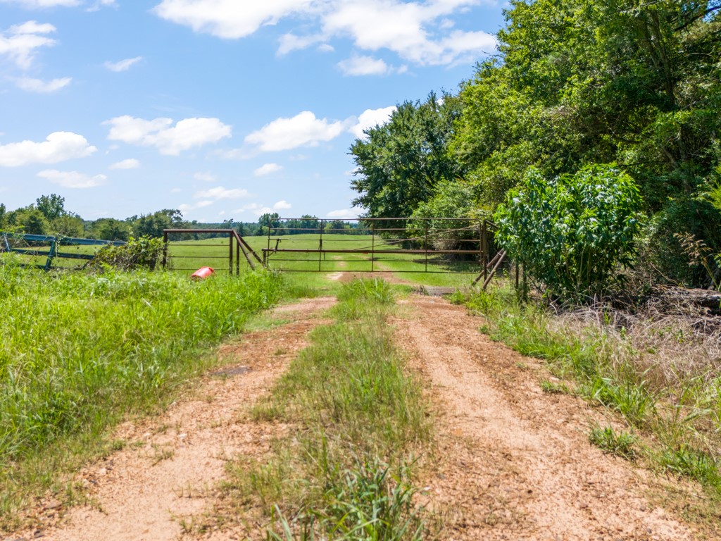 7981 Arrowwood Road Gilmer TX 75644