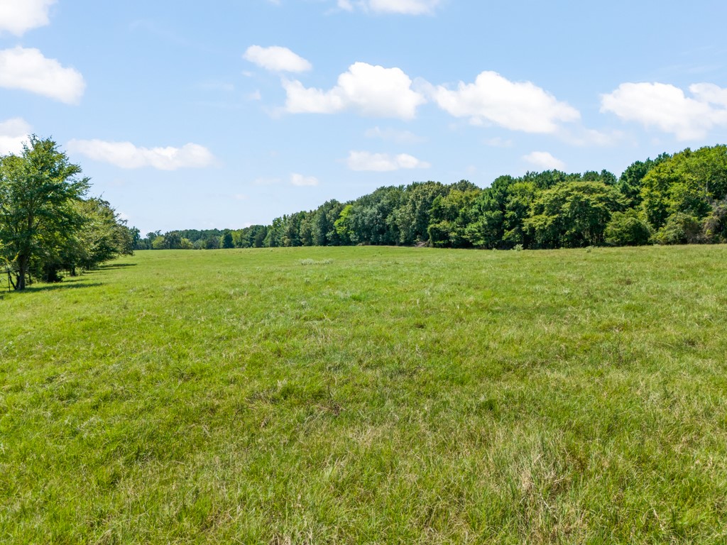 7981 Arrowwood Road Gilmer TX 75644