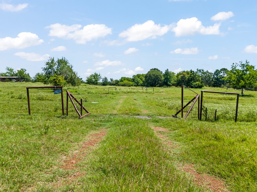 7981 Arrowwood Road Gilmer TX 75644