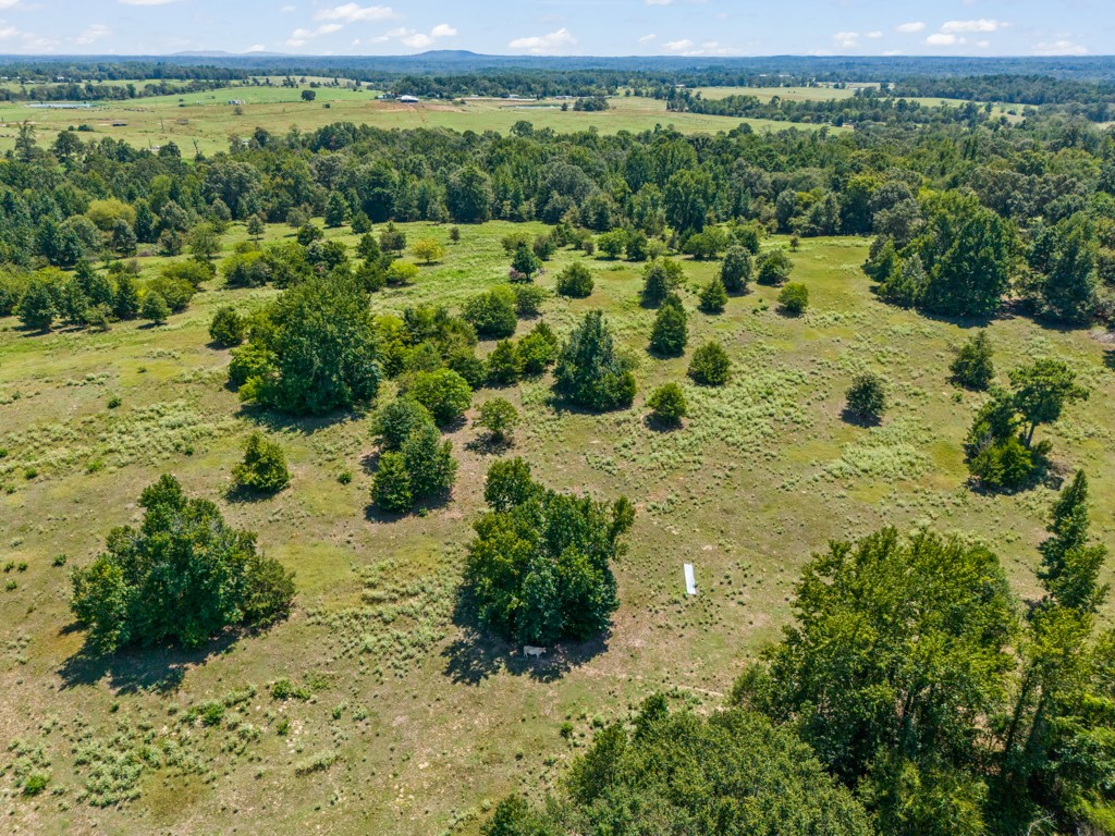 7981 Arrowwood Road Gilmer TX 75644
