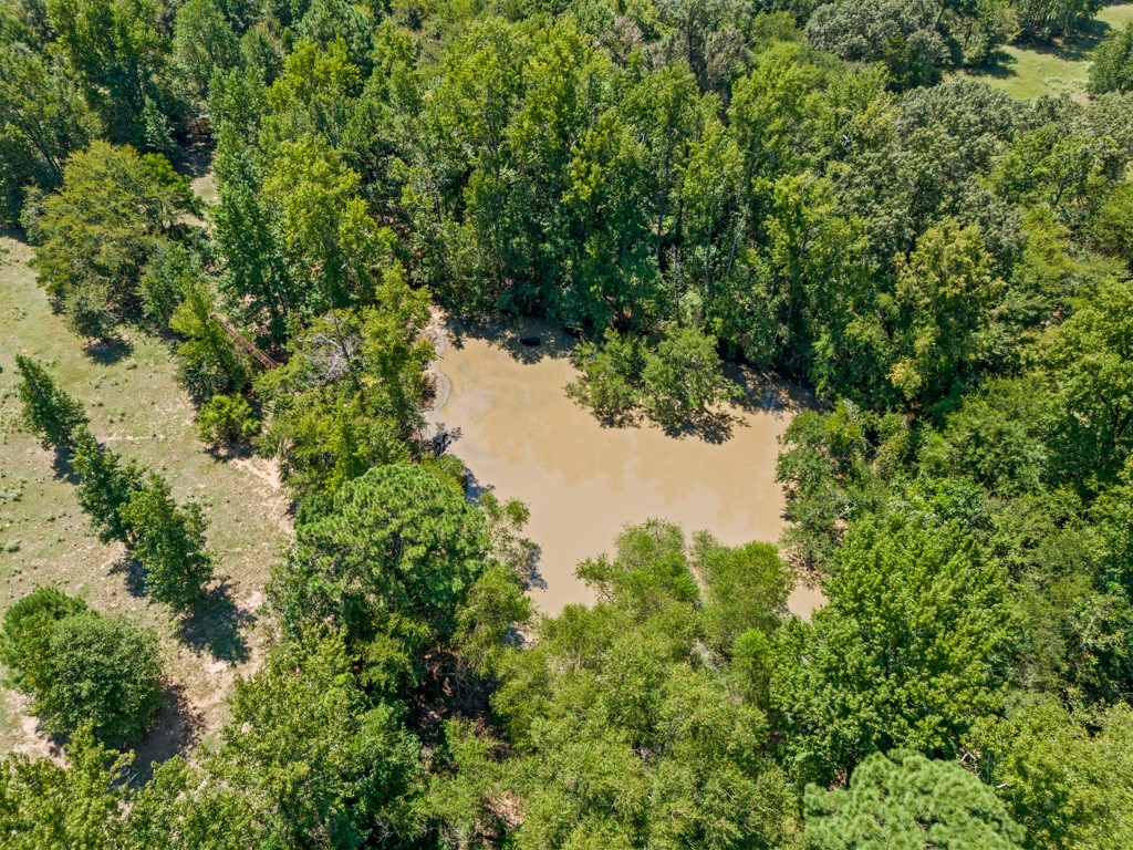 7981 Arrowwood Road Gilmer TX 75644