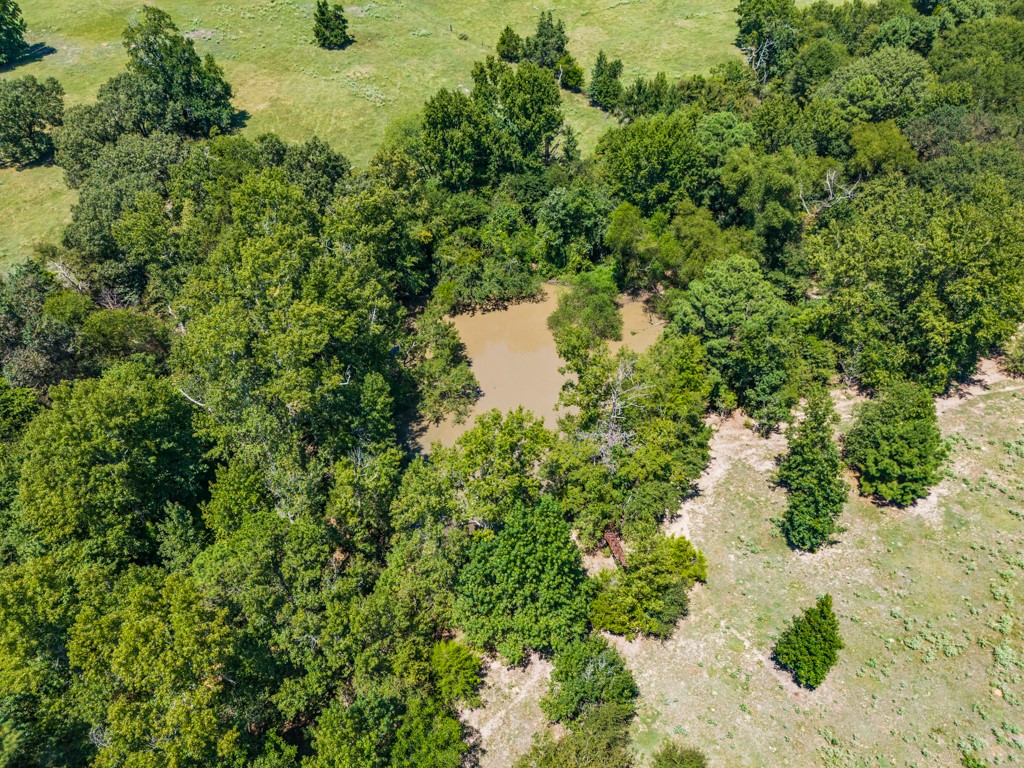 7981 Arrowwood Road Gilmer TX 75644