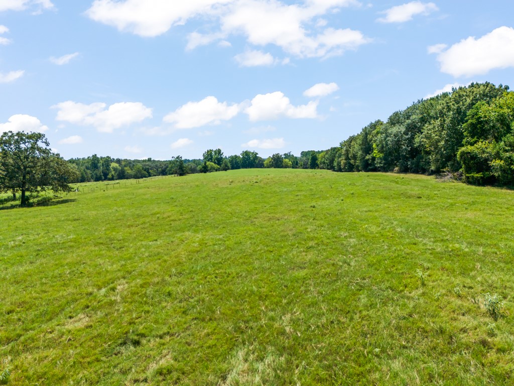 7981 Arrowwood Road Gilmer TX 75644