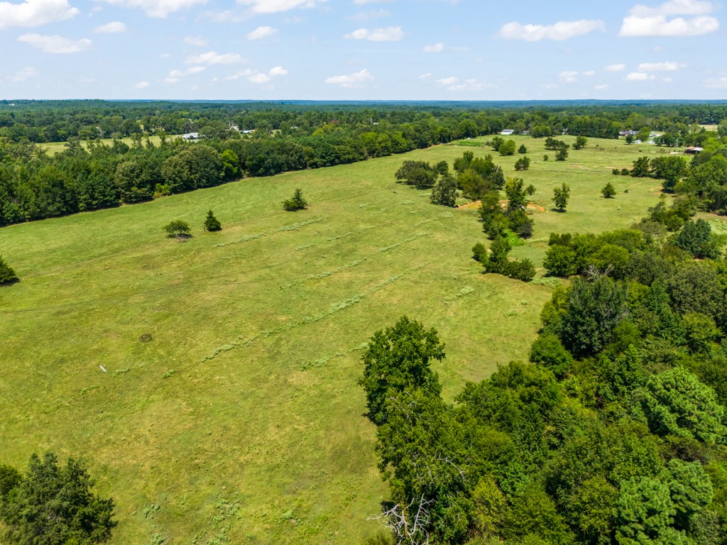 7981 Arrowwood Road Gilmer TX 75644