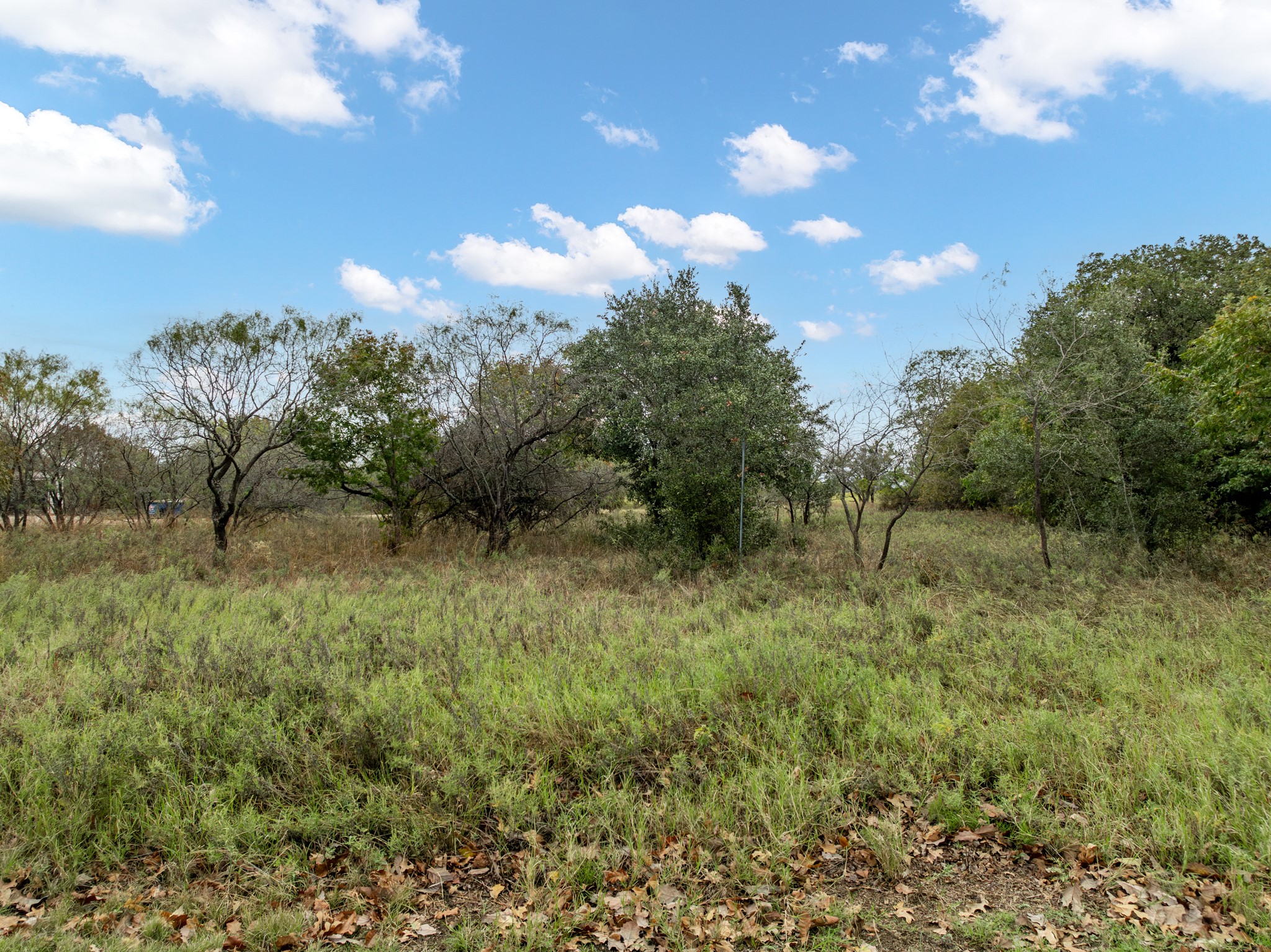 24171 Stonewood Drive Whitney TX 76692
