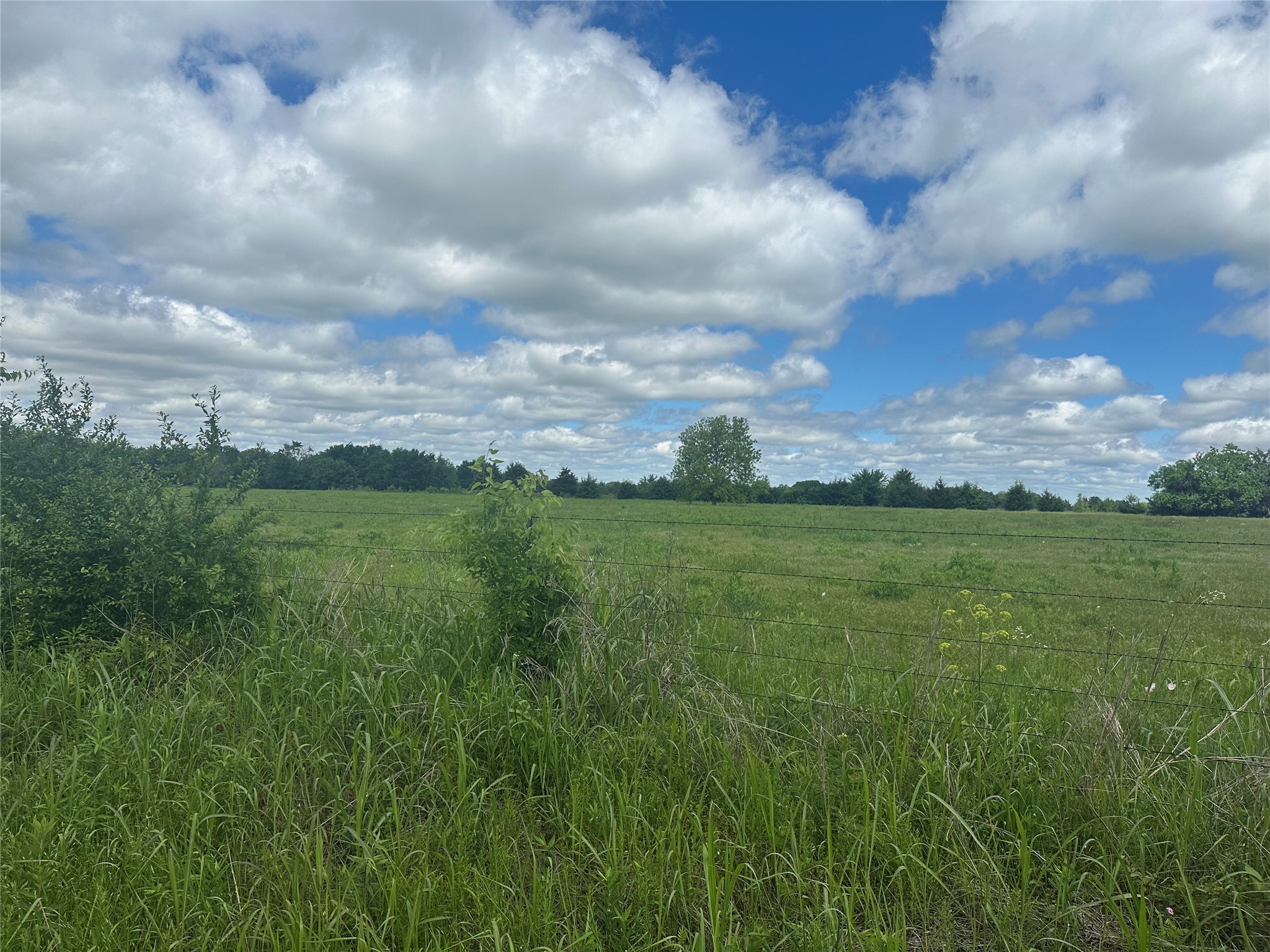 Lot 10 County Road 1400 Ravenna TX 75476