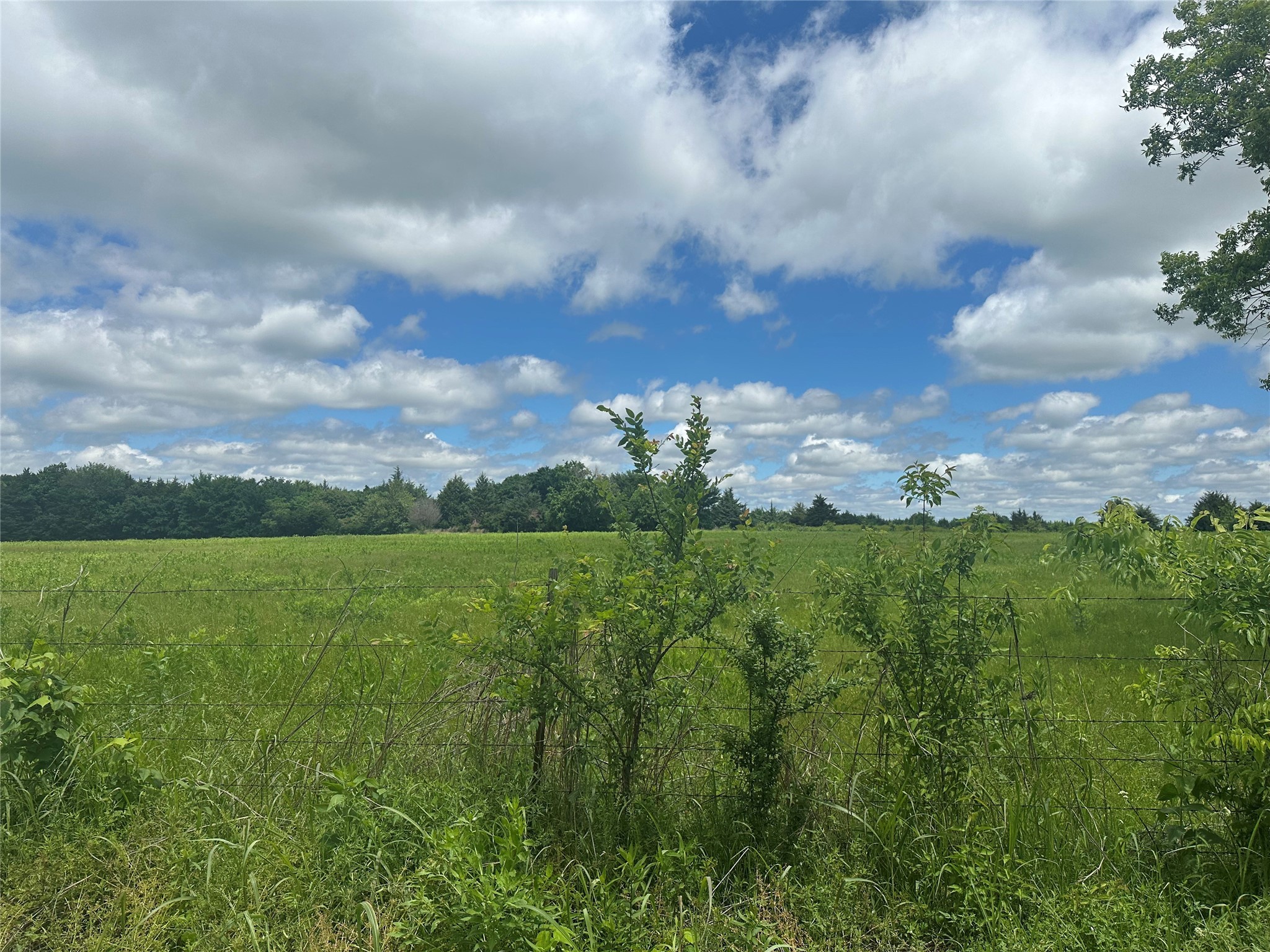 Lot 10 County Road 1400 Ravenna TX 75476