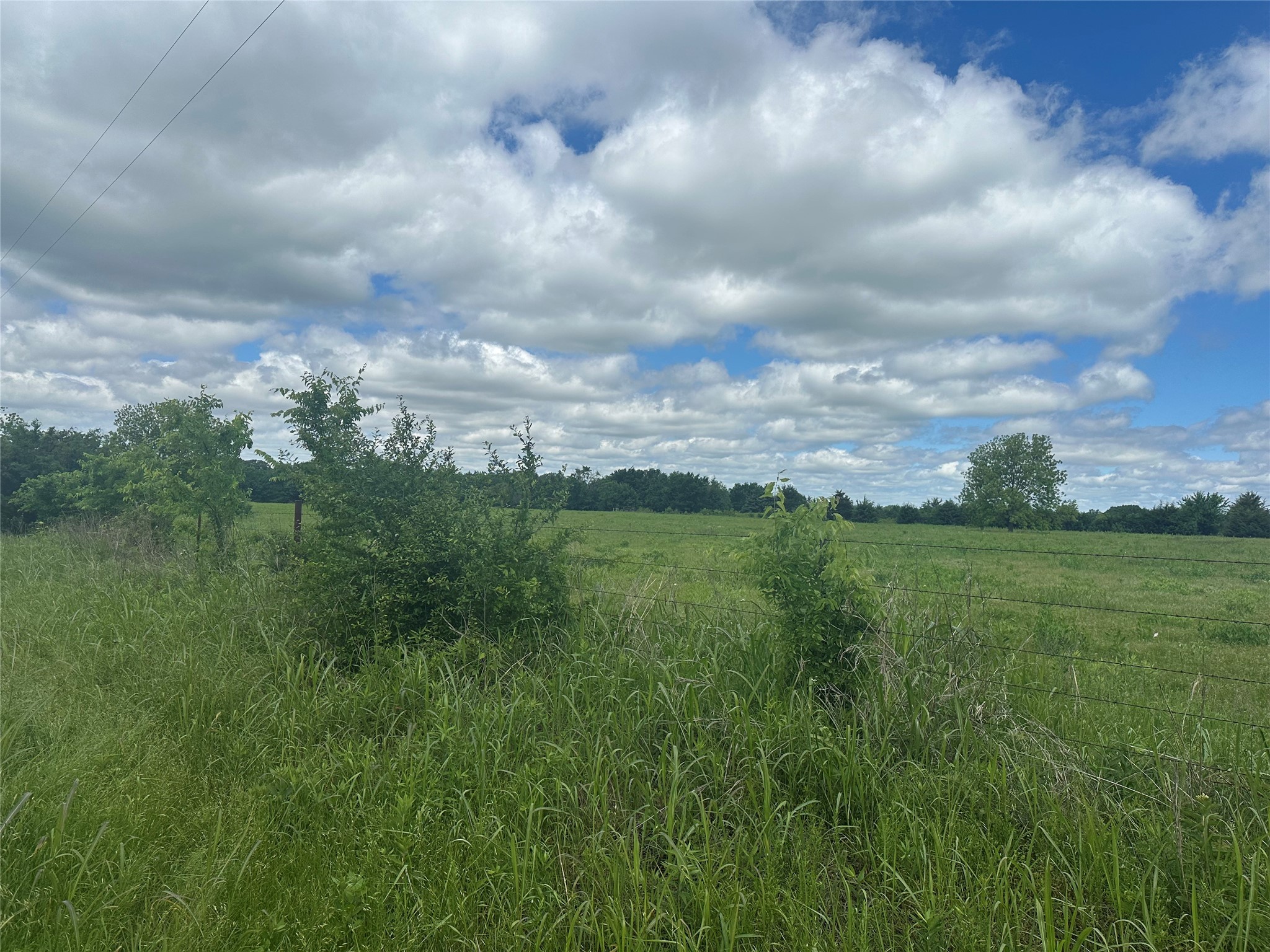 Lot 10 County Road 1400 Ravenna TX 75476