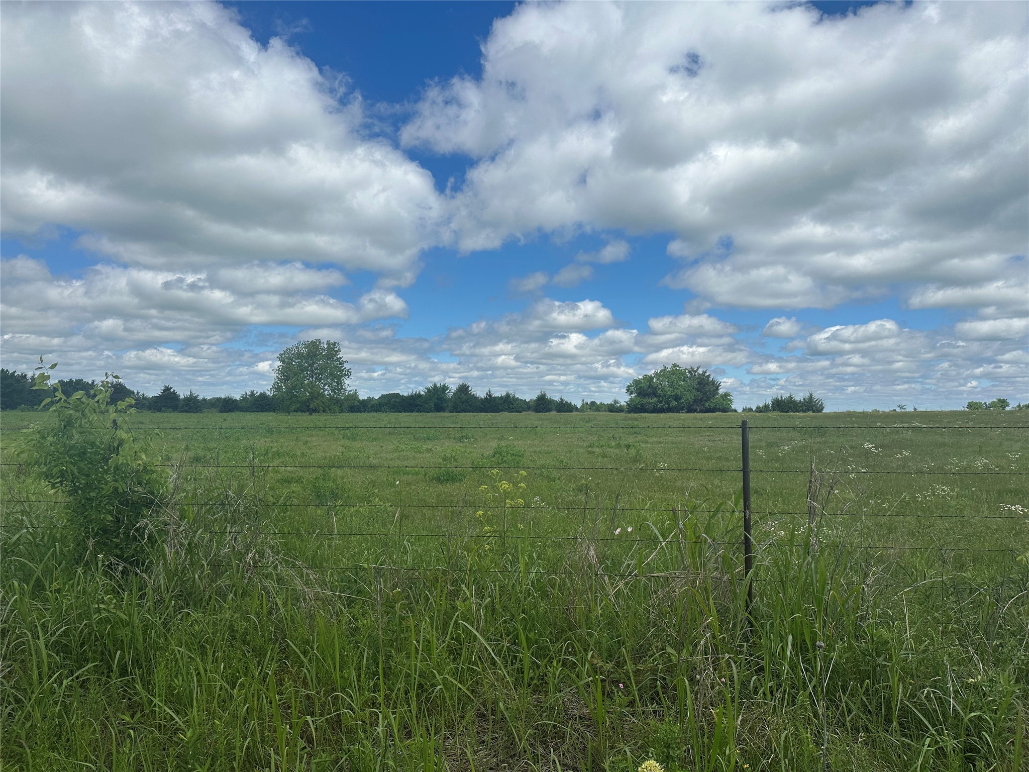 Lot 10 County Road 1400 Ravenna TX 75476