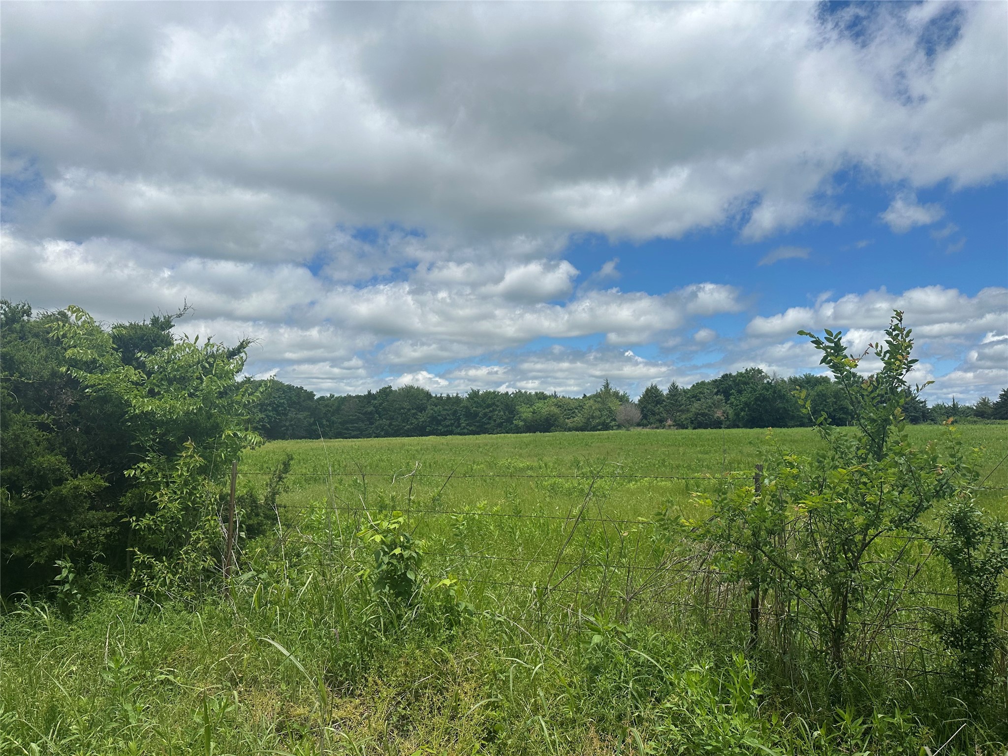 Lot 10 County Road 1400 Ravenna TX 75476