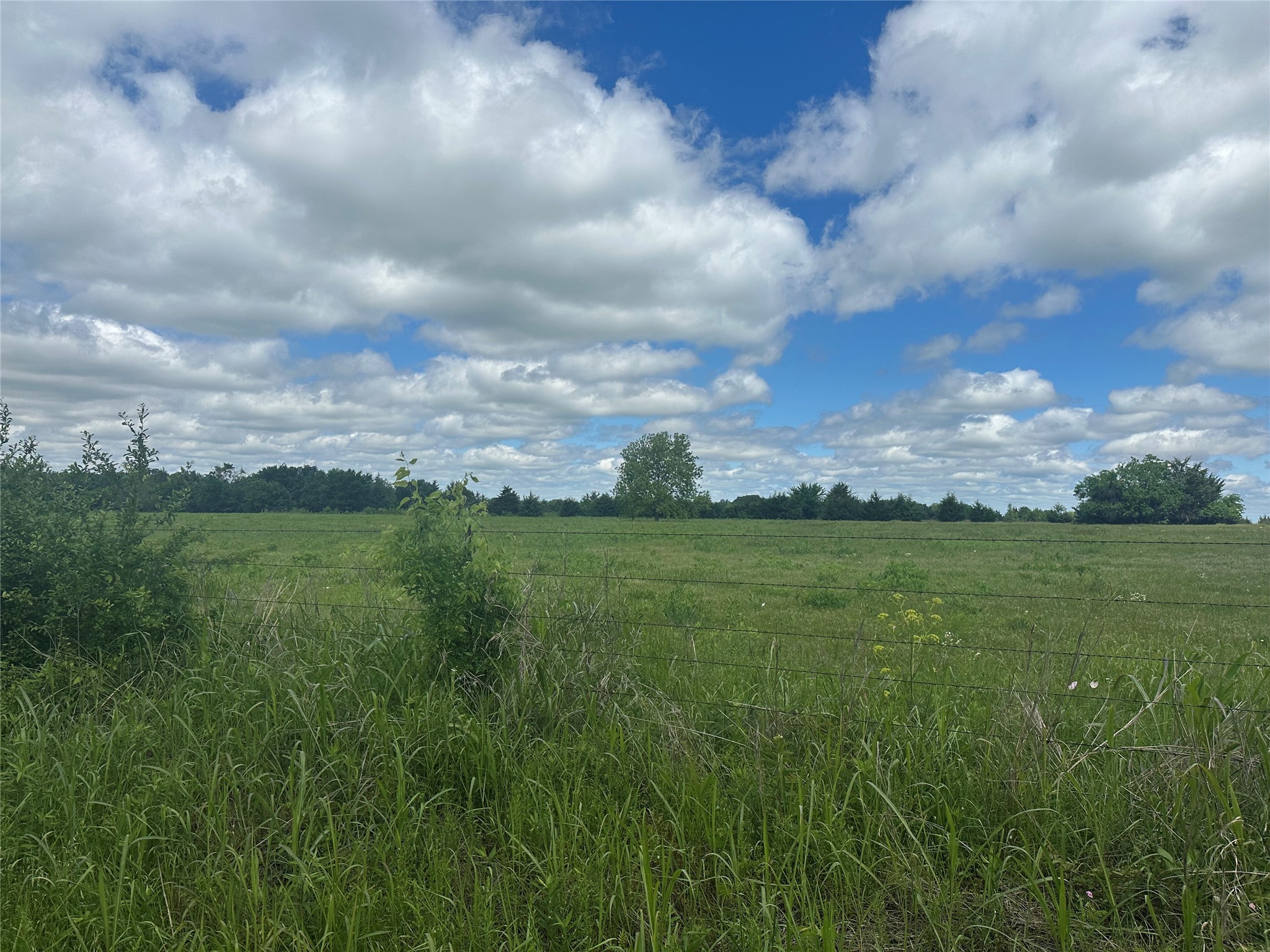 Lot 10 County Road 1400 Ravenna TX 75476