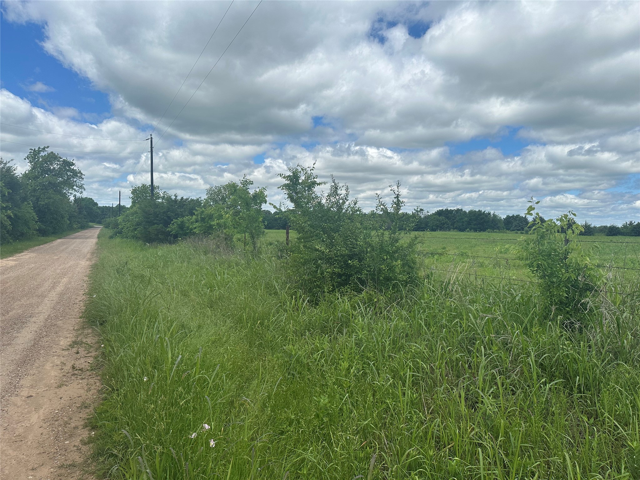 Lot 10 County Road 1400 Ravenna TX 75476