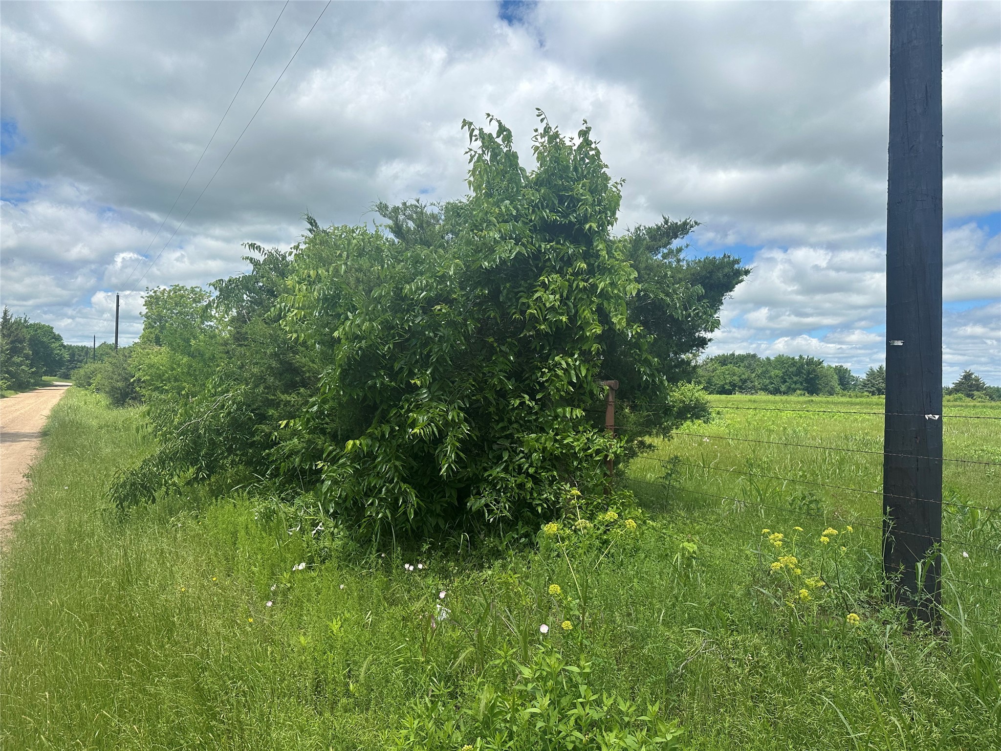 Lot 10 County Road 1400 Ravenna TX 75476