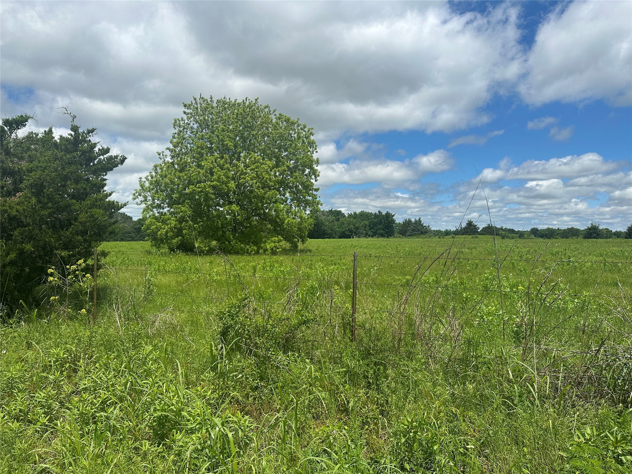 Lot 10 County Road 1400 Ravenna TX 75476