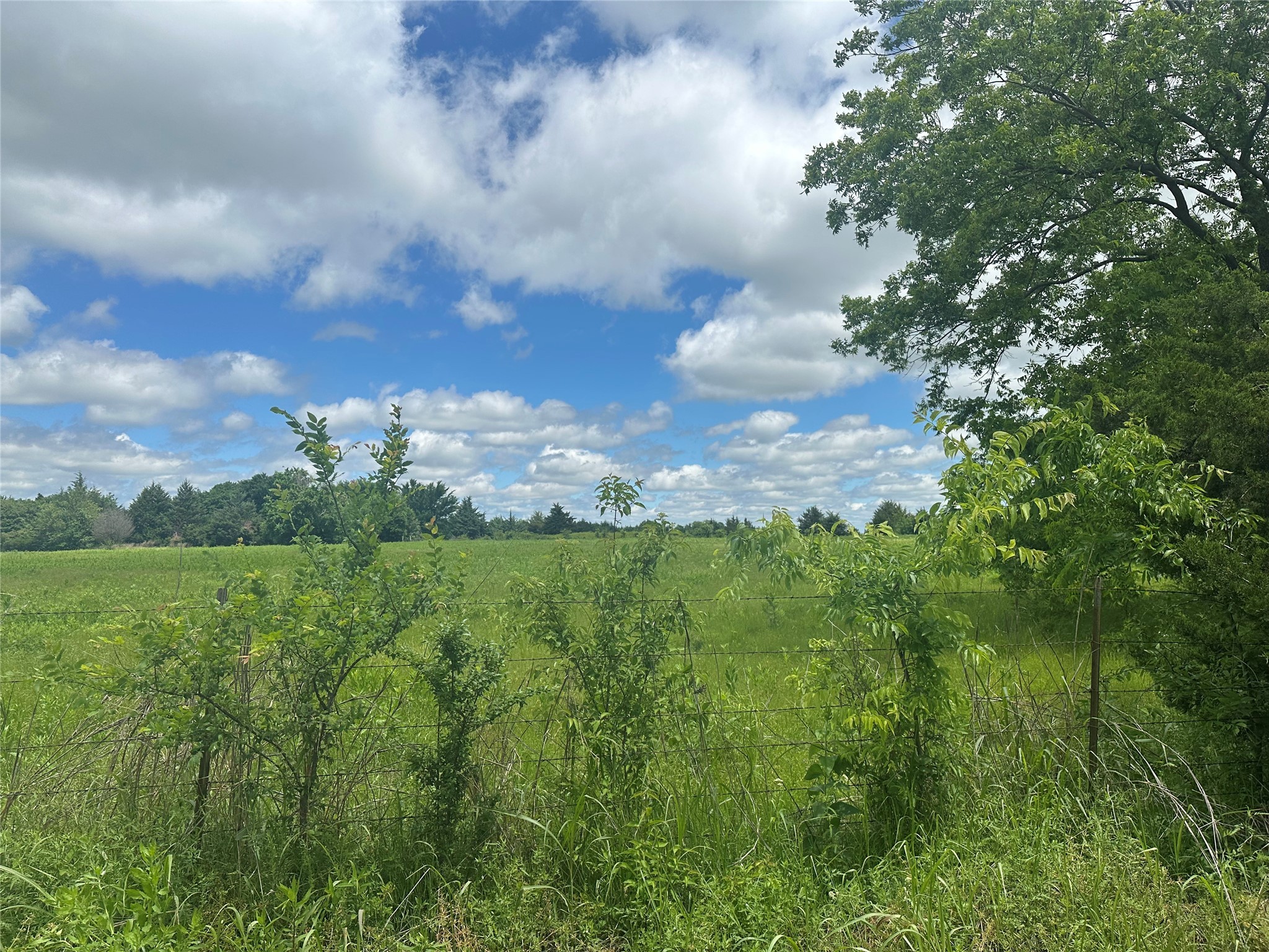 Lot 10 County Road 1400 Ravenna TX 75476