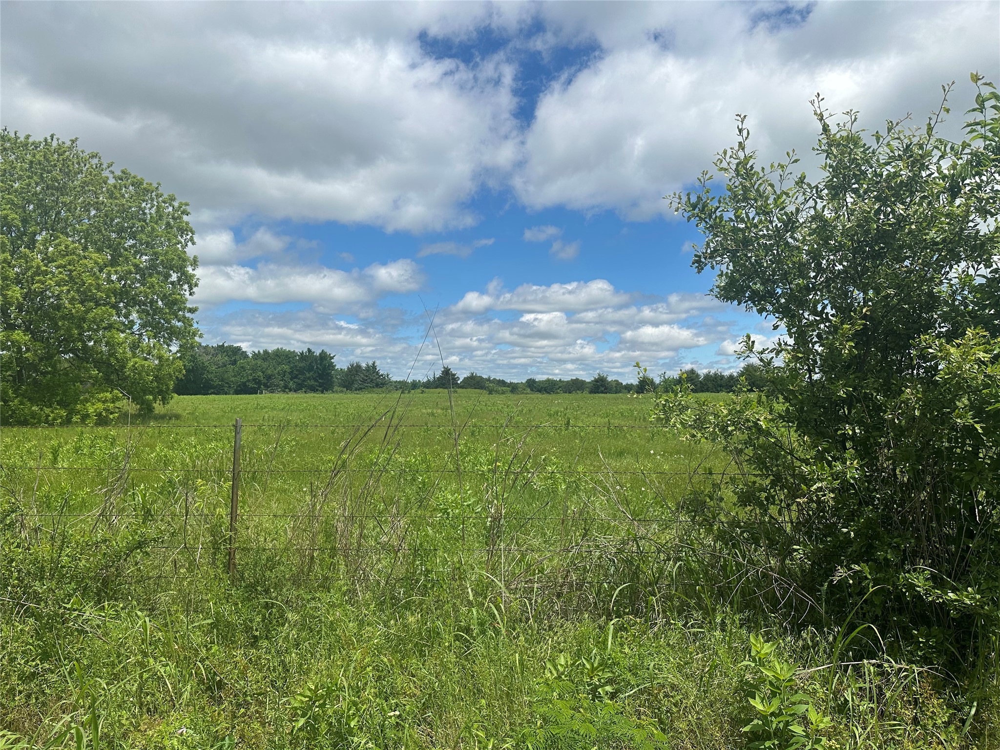Lot 10 County Road 1400 Ravenna TX 75476