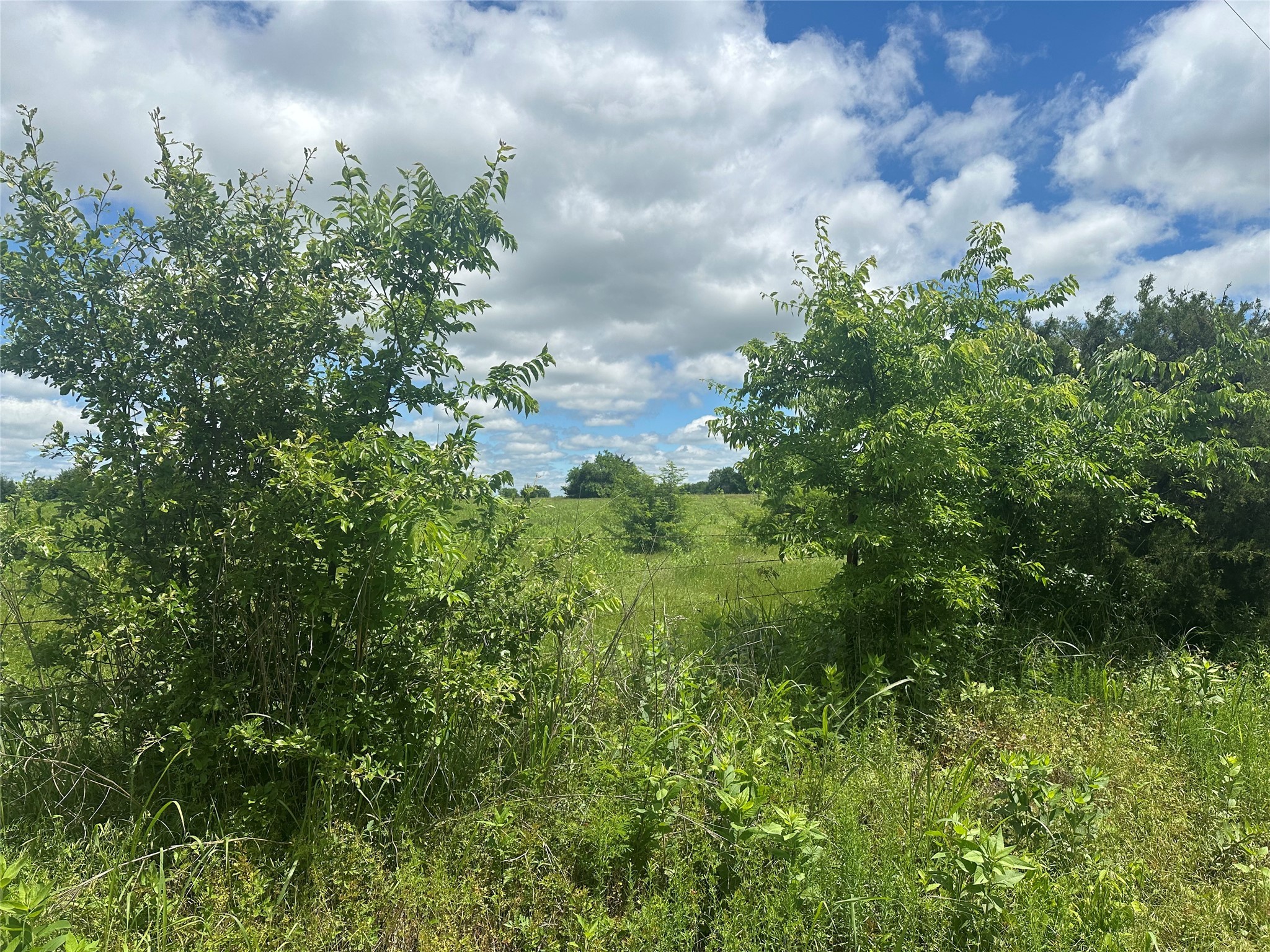 Lot 10 County Road 1400 Ravenna TX 75476