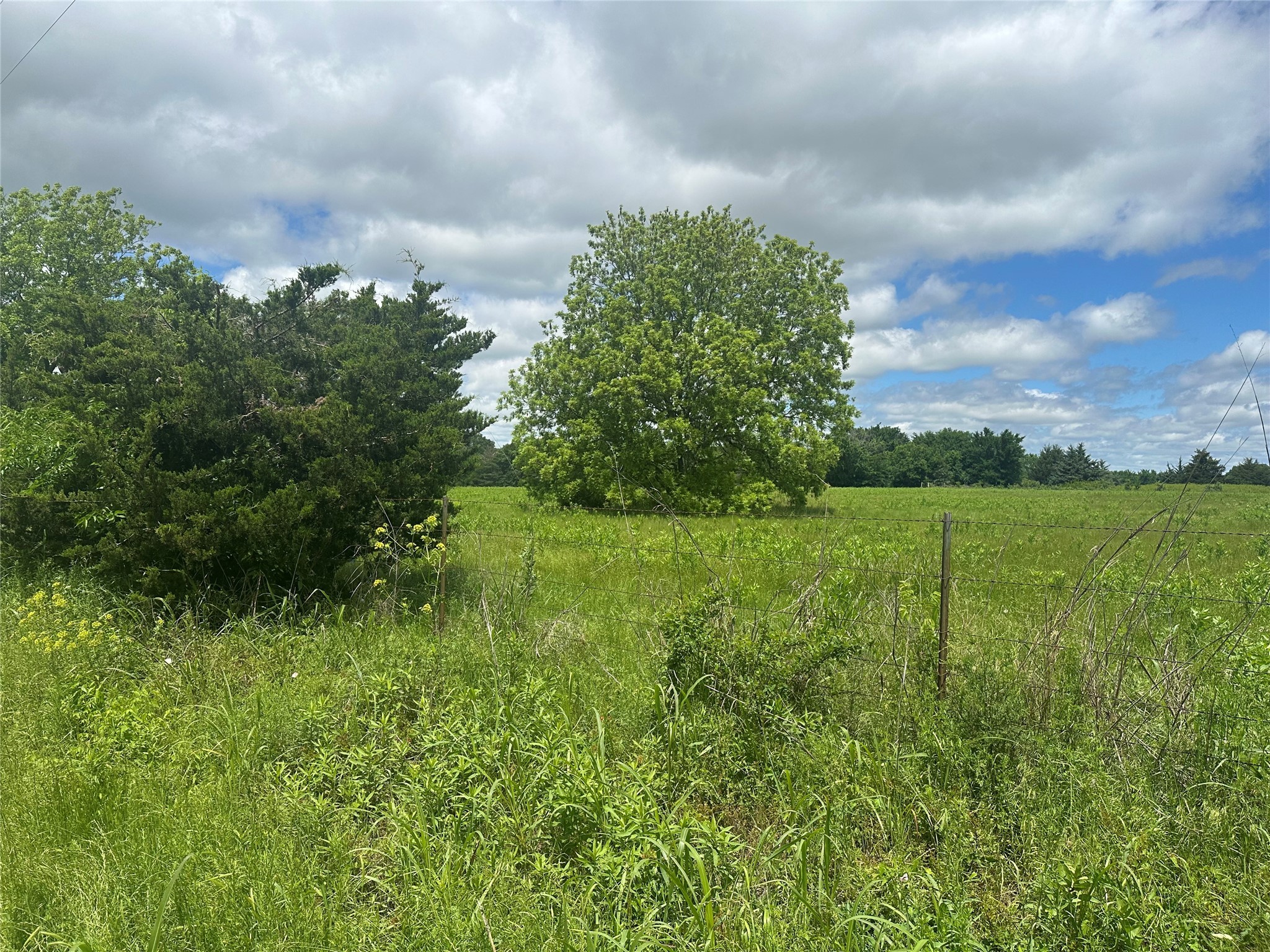 Lot 10 County Road 1400 Ravenna TX 75476