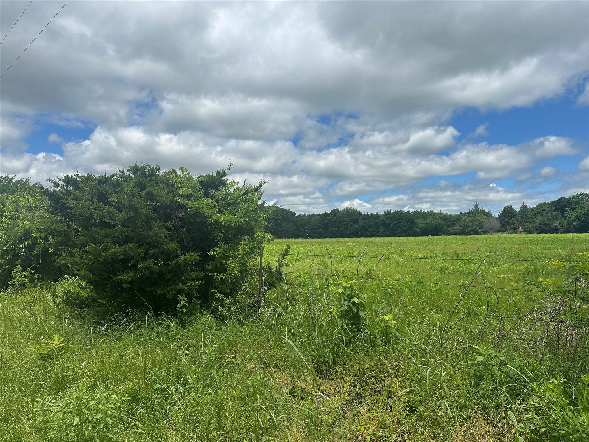 Lot 10 County Road 1400 Ravenna TX 75476