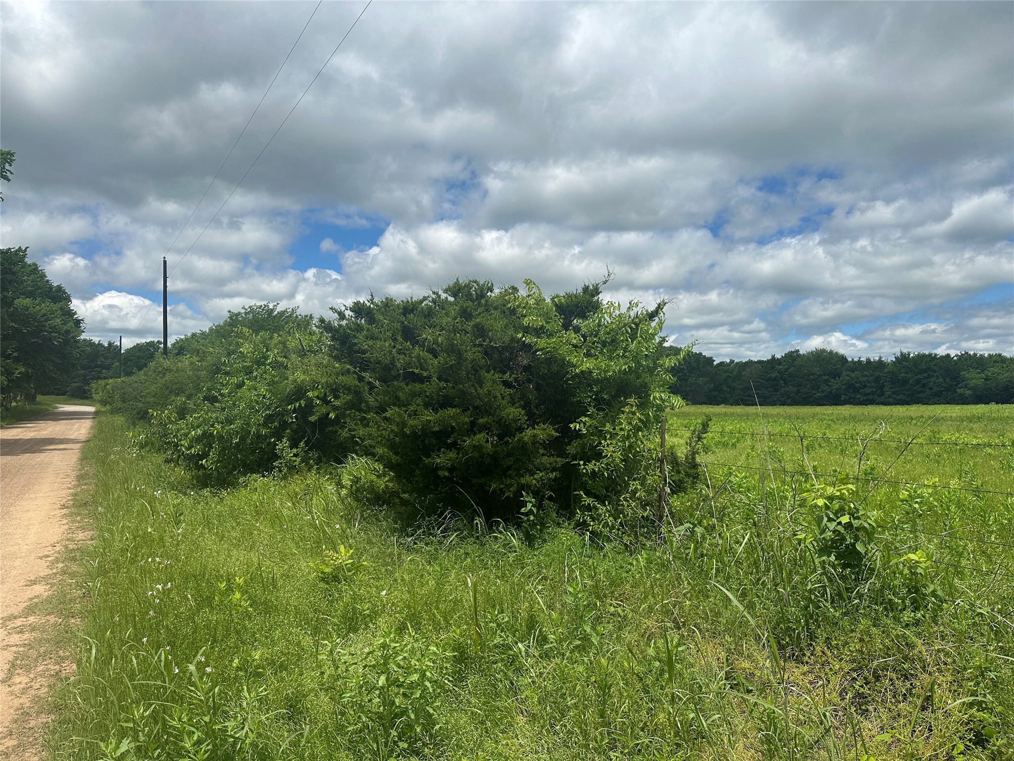 Lot 10 County Road 1400 Ravenna TX 75476