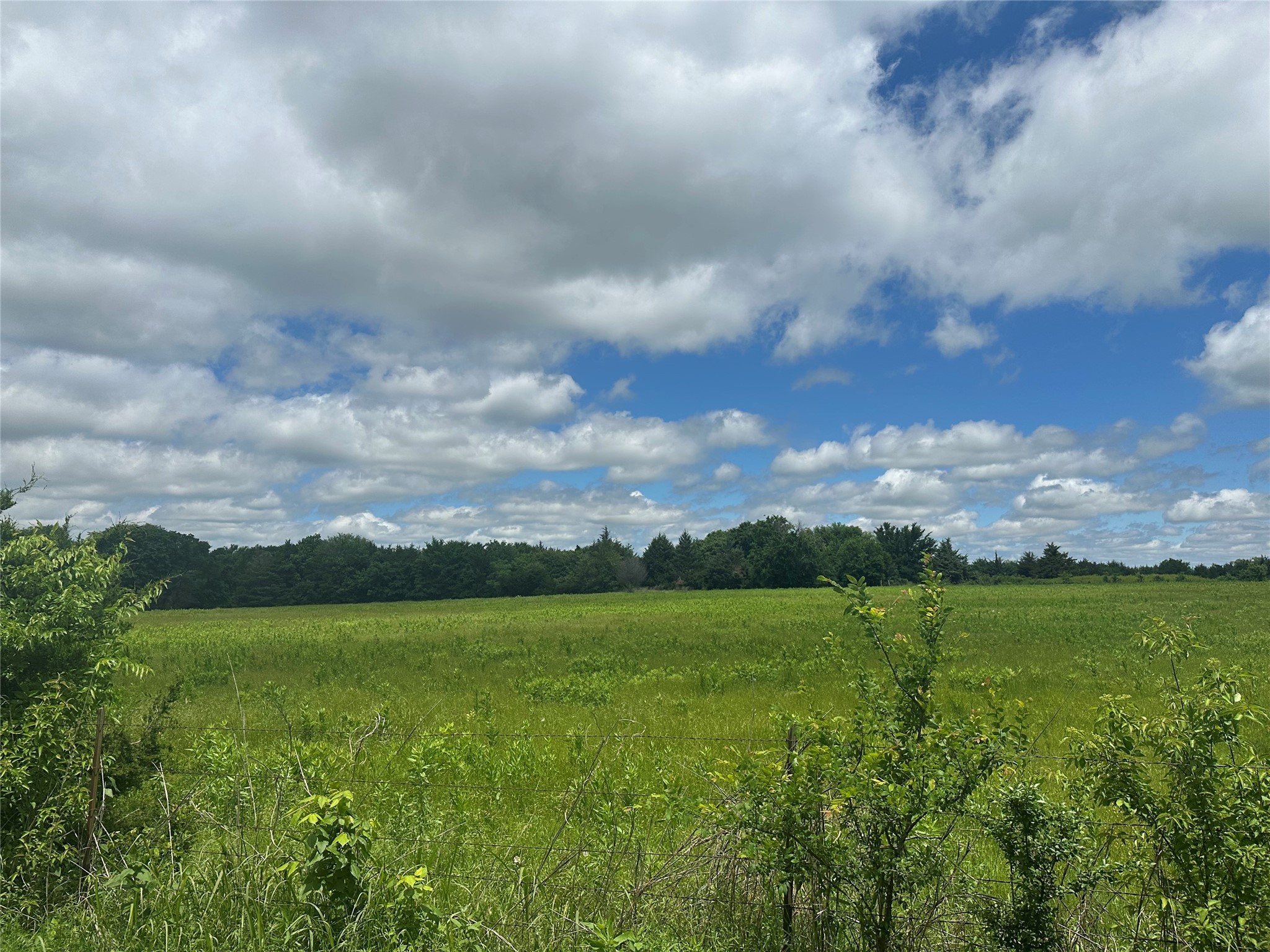 Lot 10 County Road 1400 Ravenna TX 75476