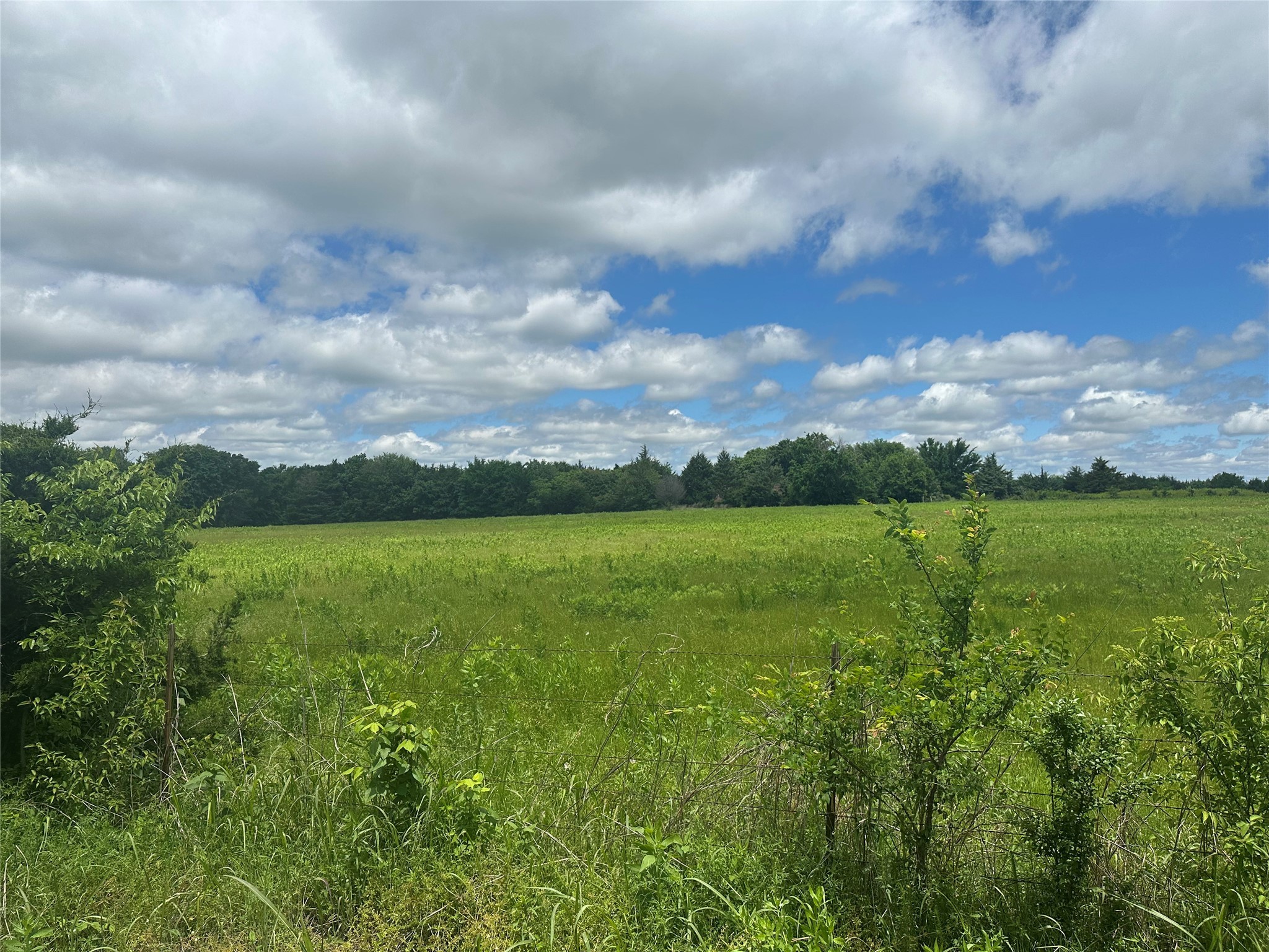 Lot 10 County Road 1400 Ravenna TX 75476