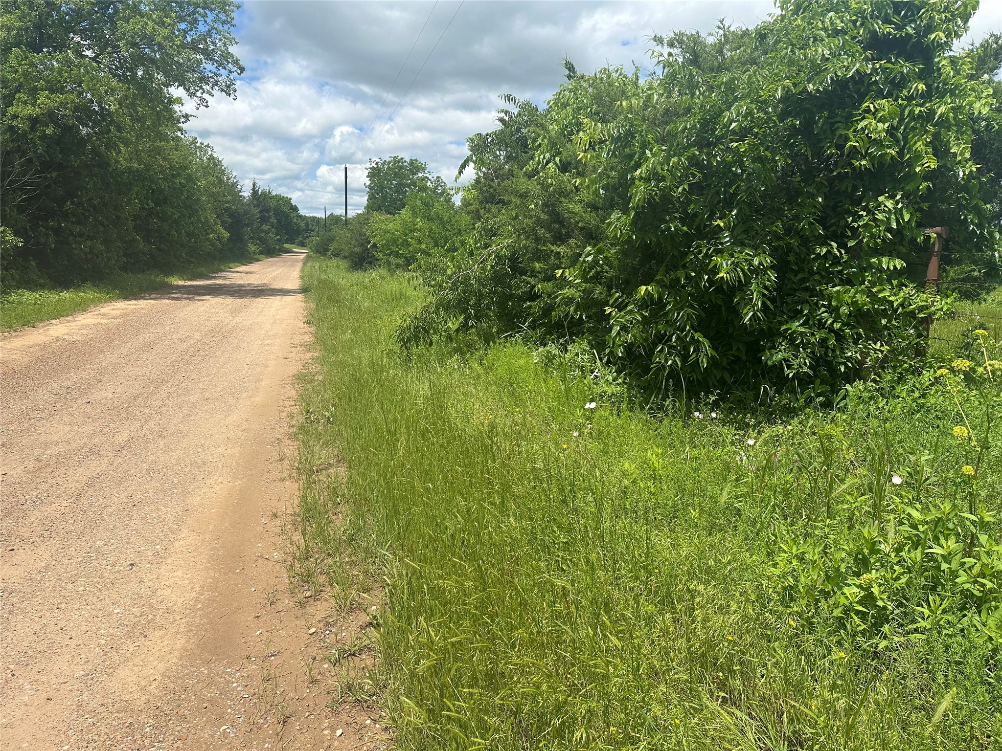 Lot 10 County Road 1400 Ravenna TX 75476