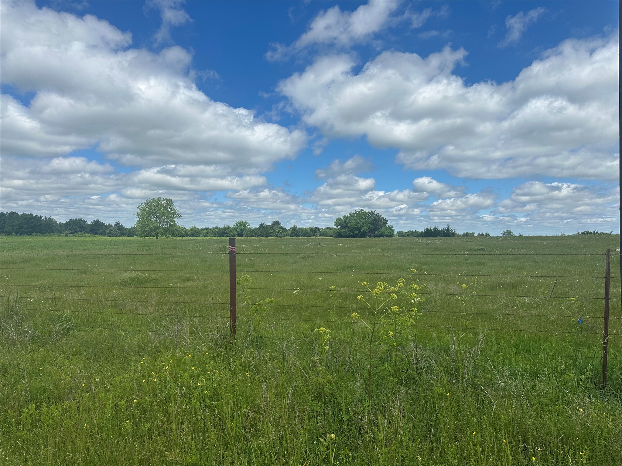 Lot 10 County Road 1400 Ravenna TX 75476