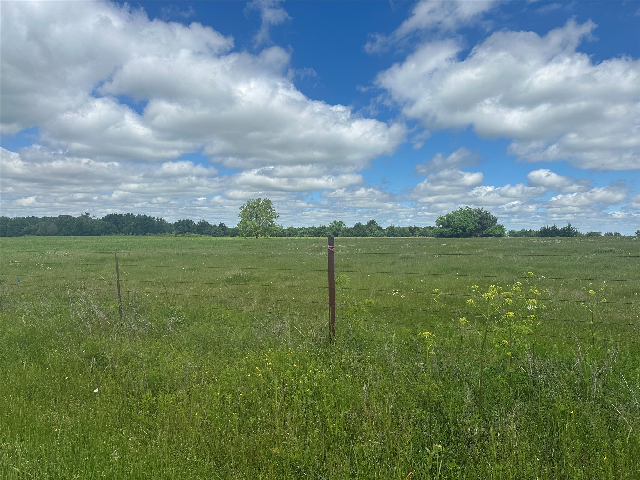 Lot 10 County Road 1400 Ravenna TX 75476