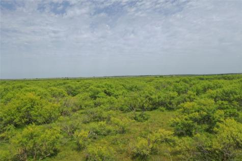 Tbd Fm 2321-tract 1 Bellevue TX 76228