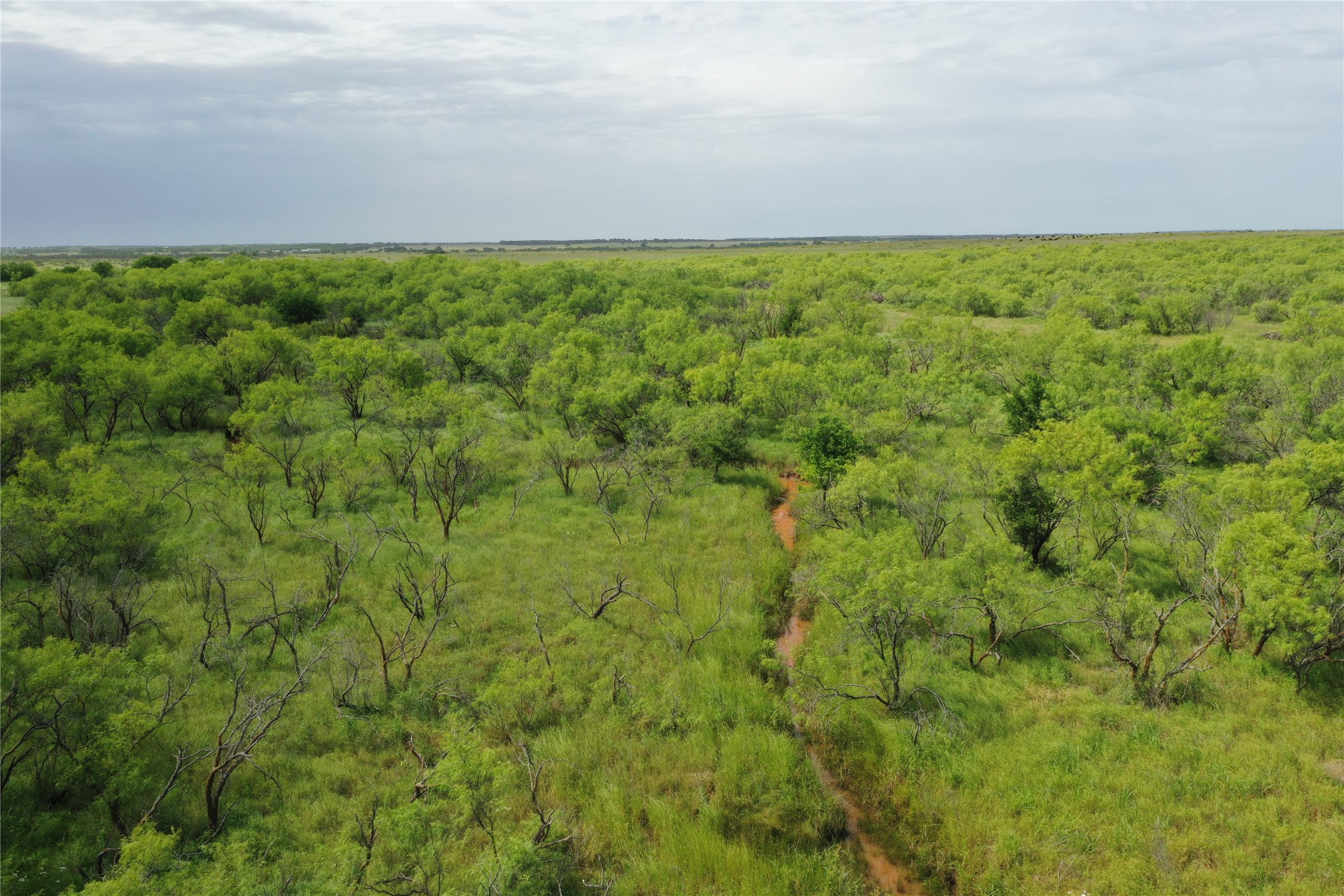 Tbd Fm 2321-tract 1 Bellevue TX 76228