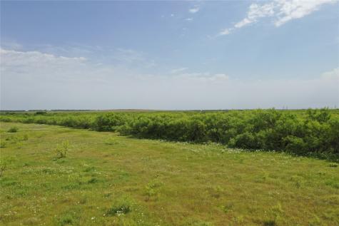 Tbd Fm 2321-tract 1 Bellevue TX 76228
